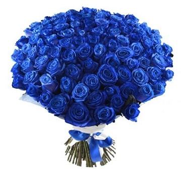 Значение синих роз: к чему их дарят девушке, что они символизируют